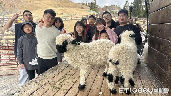 ▲清境奔羊節月底登場，串聯三高山賞櫻。（圖／清境農場提供）