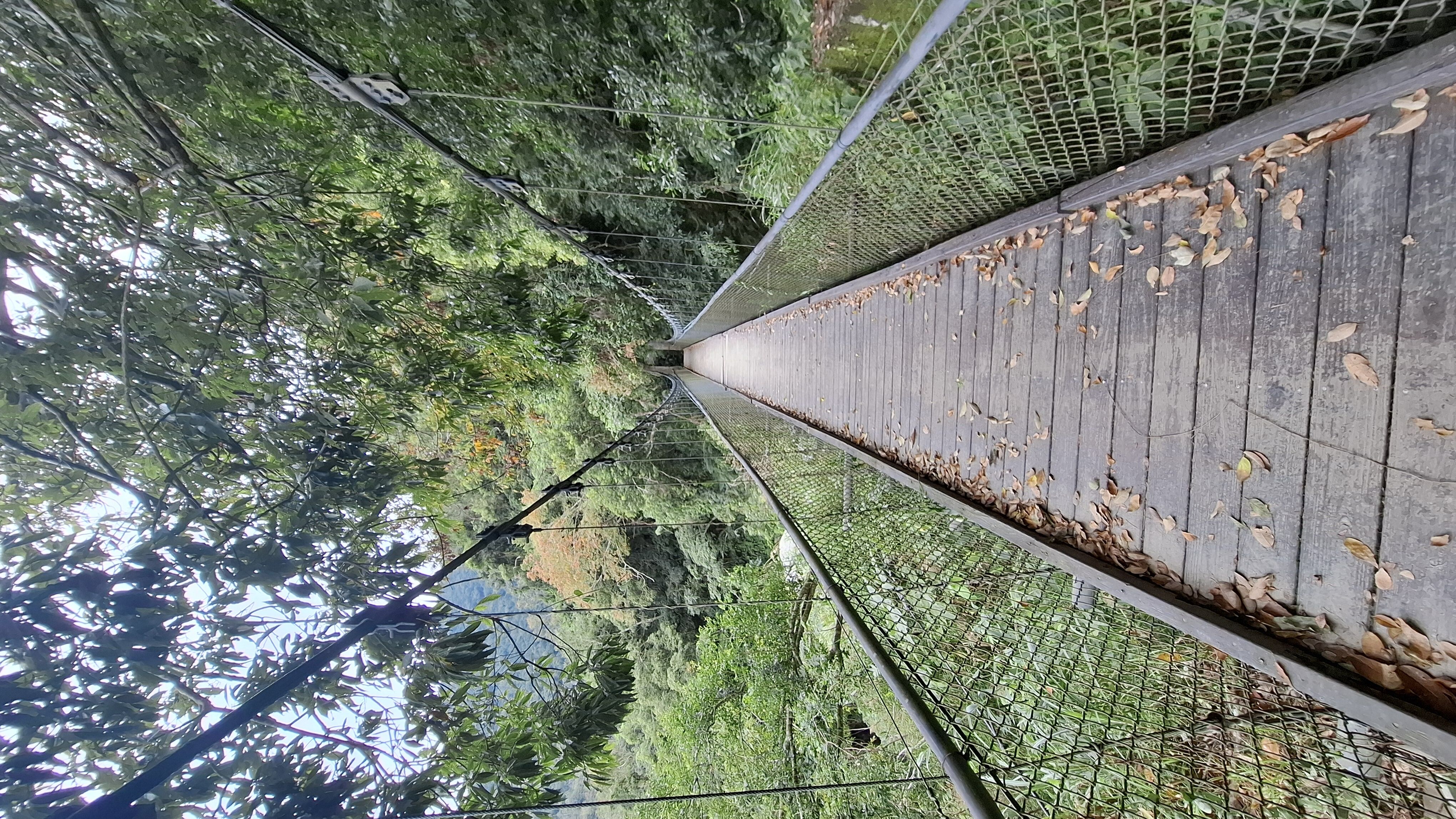 ▲玉山東部園區-碳足瓦拉米步道字跡尋寶活動本周末起登場。（圖／玉山國家公園管理處提供）