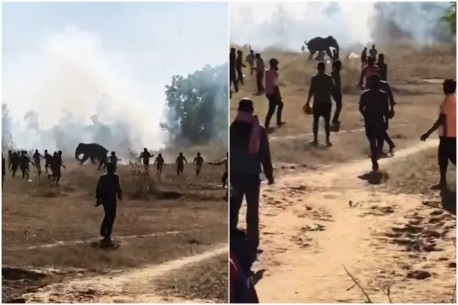 ▲▼             。（圖／翻攝自X）