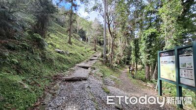 玉山東部園區-碳足瓦拉米步道字跡尋寶活動　1/24起登場　