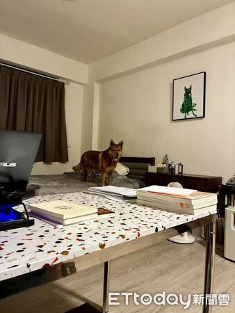 ▲。（圖／有點毛毛的／林小狗提供）