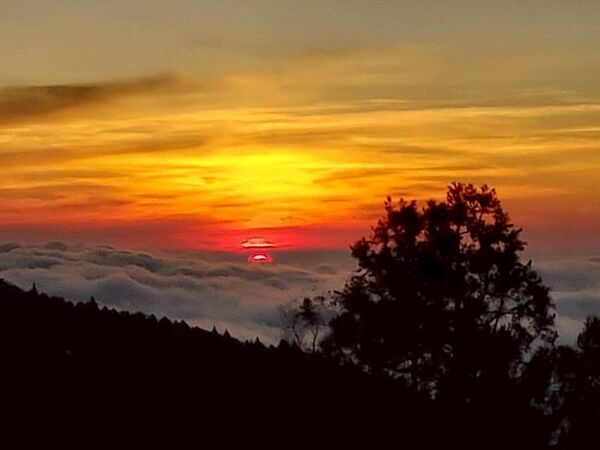 ▲▼阿里山賓館。（圖／業者提供）