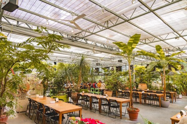 ▲▼田尾菁芳園。（圖／部落客黑皮的旅遊筆記授權提供）