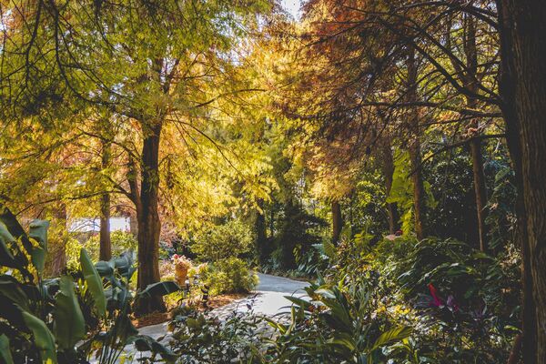 ▲▼田尾菁芳園。（圖／部落客黑皮的旅遊筆記授權提供）