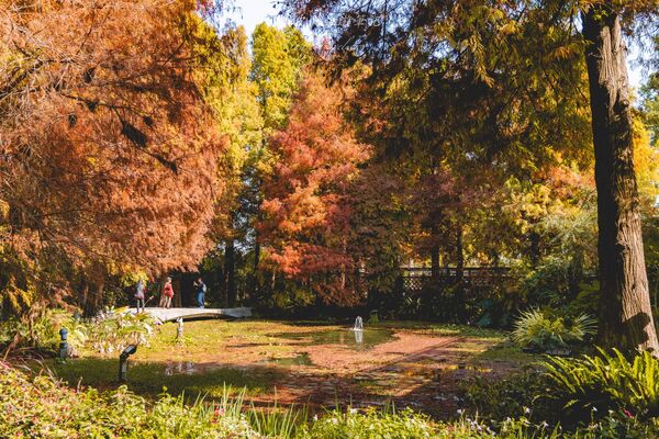 ▲▼田尾菁芳園。（圖／部落客黑皮的旅遊筆記授權提供）