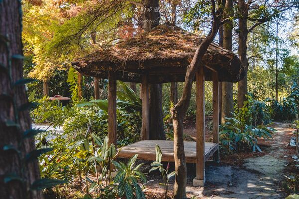 ▲▼田尾菁芳園。（圖／部落客黑皮的旅遊筆記授權提供）