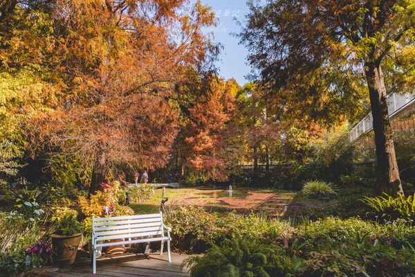 ▲▼田尾菁芳園。（圖／部落客黑皮的旅遊筆記授權提供）