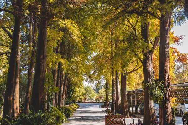 ▲▼田尾菁芳園。（圖／部落客黑皮的旅遊筆記授權提供）