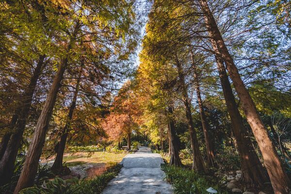 ▲▼田尾菁芳園。（圖／部落客黑皮的旅遊筆記授權提供）