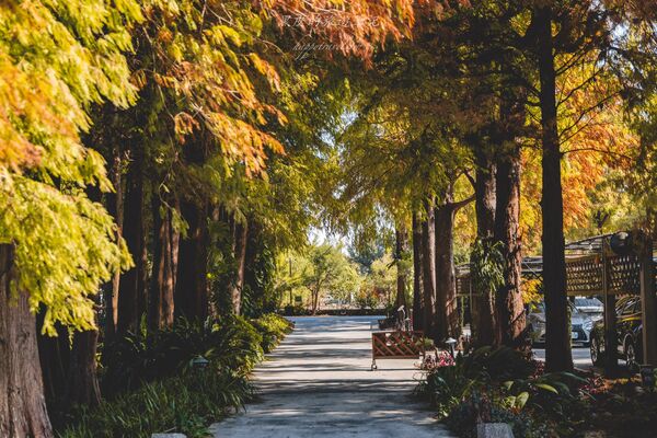 ▲▼田尾菁芳園。（圖／部落客黑皮的旅遊筆記授權提供）