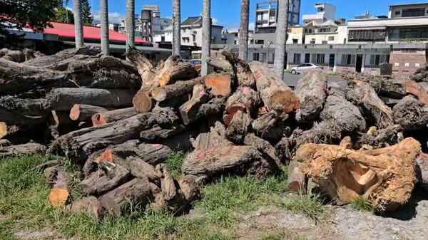 ▲山老鼠被查扣的逾500萬元貴重木。（圖／宜蘭地檢署提供）