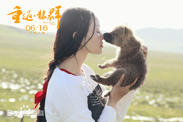 ▲▼   近期，紀錄片《重返狼群》於10年後再度爆火。超千萬網友對於孤狼格林和成都姑娘李微漪的生死羈絆淚目。網友看哭：遠離，才是最好的保護          。（圖／翻攝 百度百科《重返狼群》劇照）