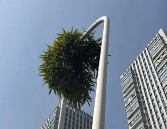 ▲▼   竹堅強          。（圖／翻攝 百度）