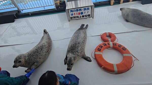 ▲。（圖／翻攝自X／@JCG_1st_RCGH）