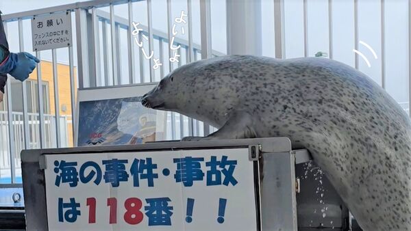 ▲。（圖／翻攝自X／@JCG_1st_RCGH）