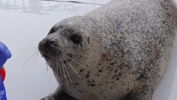 ▲。（圖／翻攝自X／@JCG_1st_RCGH）