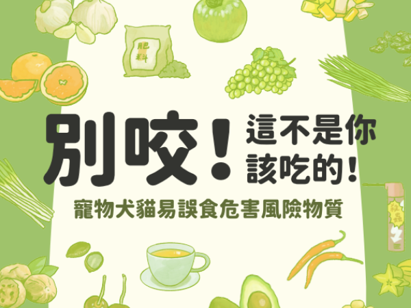 「寵物易誤食清單」懶人包　百合花、肥料都上榜居家用品超常見