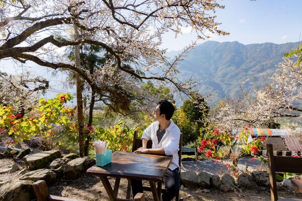 ▲▼外坪頂蔡家梅園。（圖／部落客黑皮的旅遊筆記授權提供）