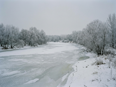 「大寒」3生肖絕地反攻　屬猴憑實力拿下資源、第一名知名度大增