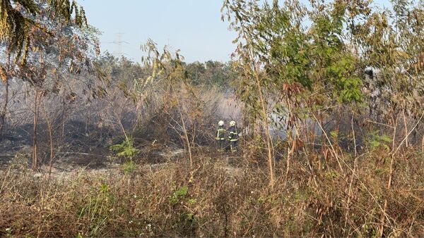 ▲彰化濁水溪沿岸近日連續發生10起雜草火警。（圖／記者唐詠絮翻攝）