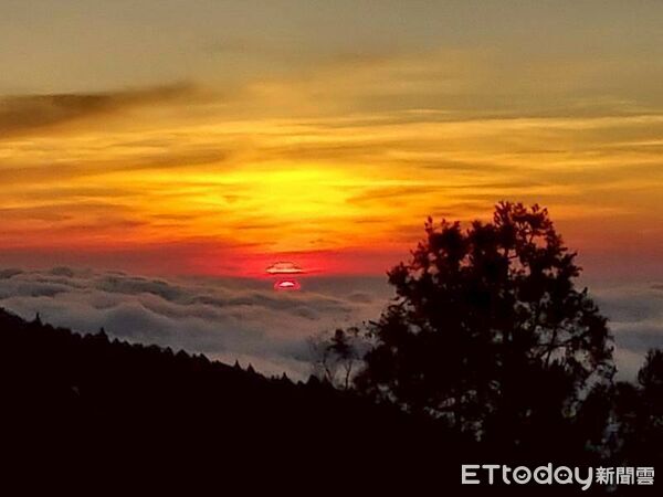 ▲▼  阿里山賓館2026年頂級套房即將亮相登場把阿里山住進心裡！獨享世界級森林療癒、雲霧、日落〈無價〉寶藏 。（圖／阿里山賓館提供）