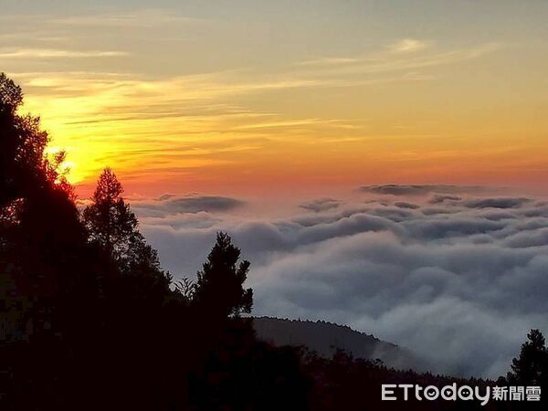 ▲▼  阿里山賓館2026年頂級套房即將亮相登場把阿里山住進心裡！獨享世界級森林療癒、雲霧、日落〈無價〉寶藏 。（圖／阿里山賓館提供）