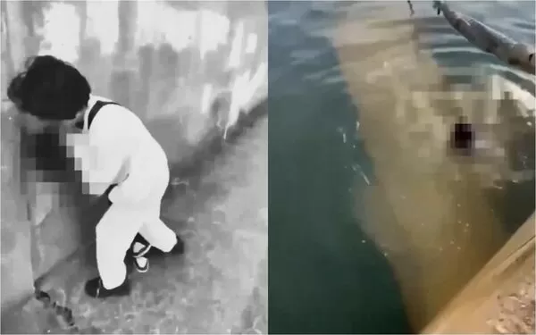 網路流傳幾段國中青少年欺負國小生的影片，引發輿論熱議。（翻攝自X）