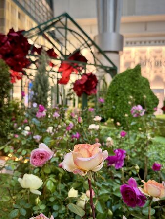 ▲台北101、誠品生活新春活動。（圖／業者提供）