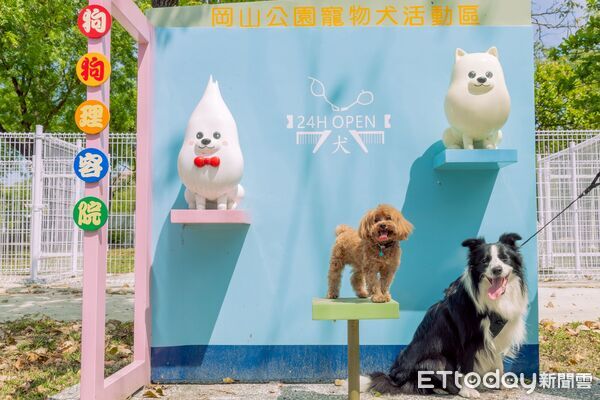 ▲▼高雄「狗狗小花」盛開中！盤點11處寵物犬活動區　今年再增3處。（圖／記者賴文萱翻攝）
