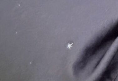 ▲受寒潮影響，上海市降下2026年第一場雪。（圖／翻攝上海市天氣微博）