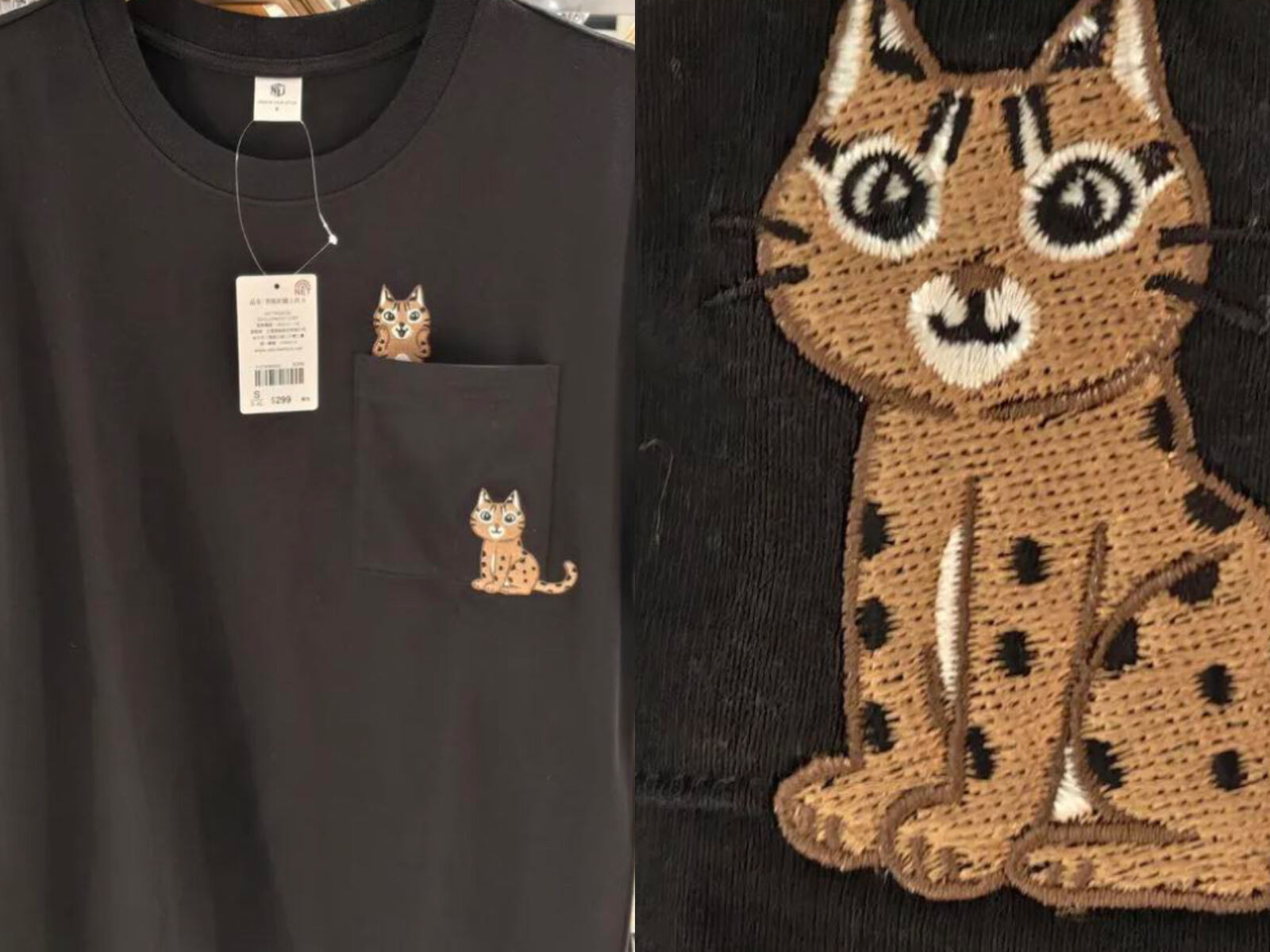 ▲▼石虎    。（圖／翻攝自Threads、石虎抱抱）