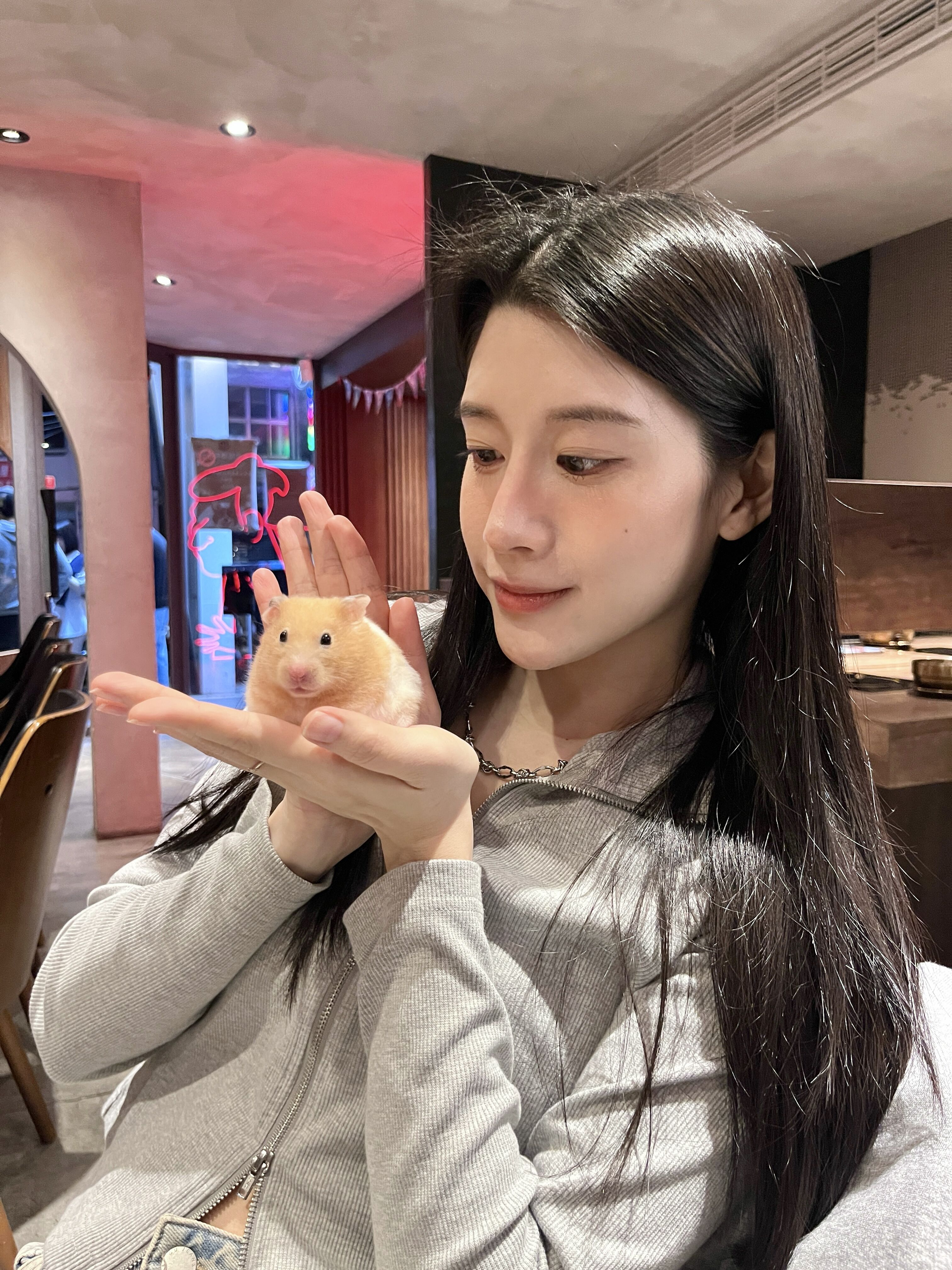 ▲黃金鼠貪吃討食沒坐穩　秒張開小手比出「Safe」手勢萌翻網友。（圖／threads@62uz提供，請勿隨意翻拍，以免侵權。）