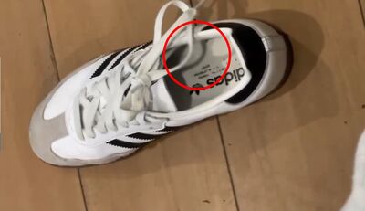 超噁！士官搭新馬輪回台「偷女客鞋射精」　毀損罪被起訴