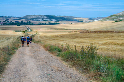 2026出國趨勢「天數短、次數多」