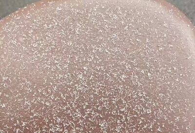 濟南下「暴雨梨花針」　居民驚呼：出門堆雪人要穿防彈衣