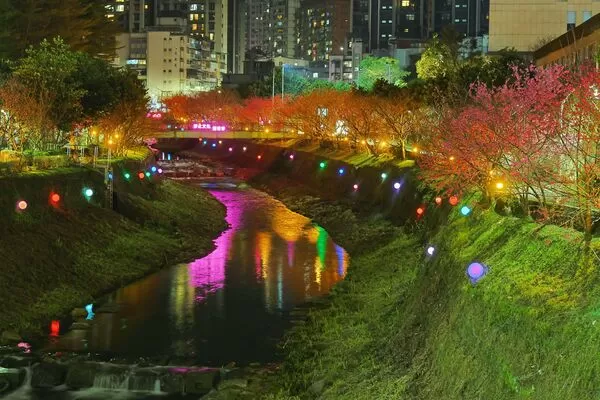 ▲汐止康誥坑溪浪漫賞櫻步道粉嫩登場。（圖／新北市政府提供）