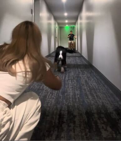 ▲。（圖／翻攝自TikTok／@matchabernie）