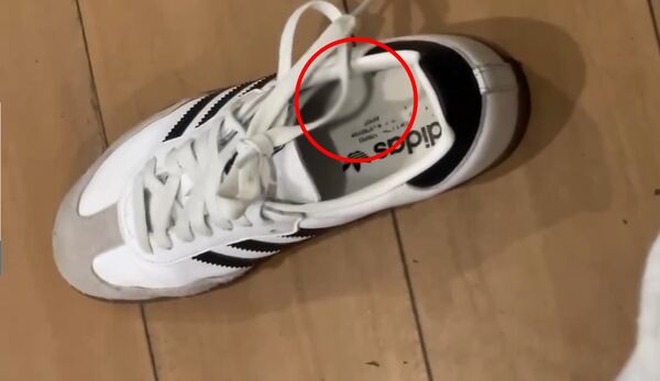 ▲女乘客發現鞋子上沾有穢物，施男坦承在她的鞋內射精。（圖／記者郭世賢翻攝）