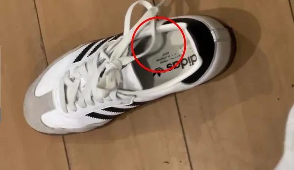 ▲女乘客發現鞋子上沾有穢物，施男坦承在她的鞋內射精。（圖／記者郭世賢翻攝）