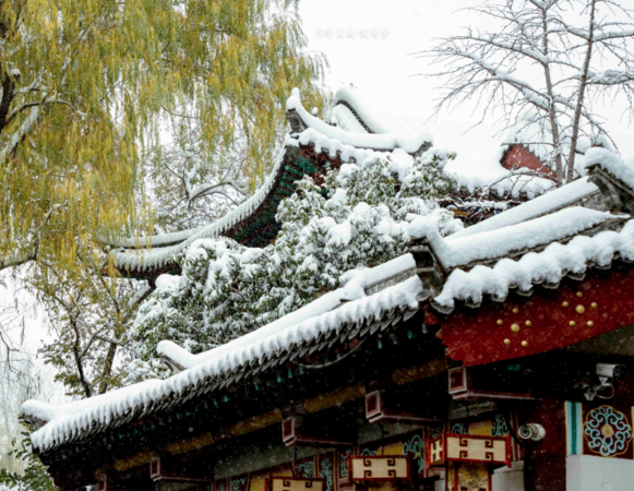 ▲▼雪後濟南雲霧潤蒸宛若仙境。（圖／翻攝自微博）