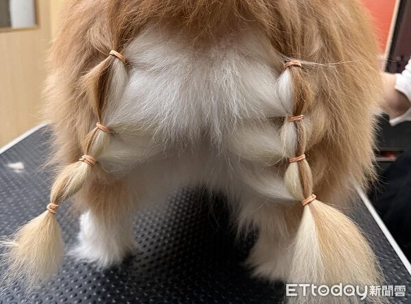 ▲。（圖／網友Threads@laotien9527提供，請勿隨意翻拍，以免侵權。）