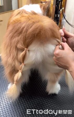 ▲。（圖／網友Threads@laotien9527提供，請勿隨意翻拍，以免侵權。）