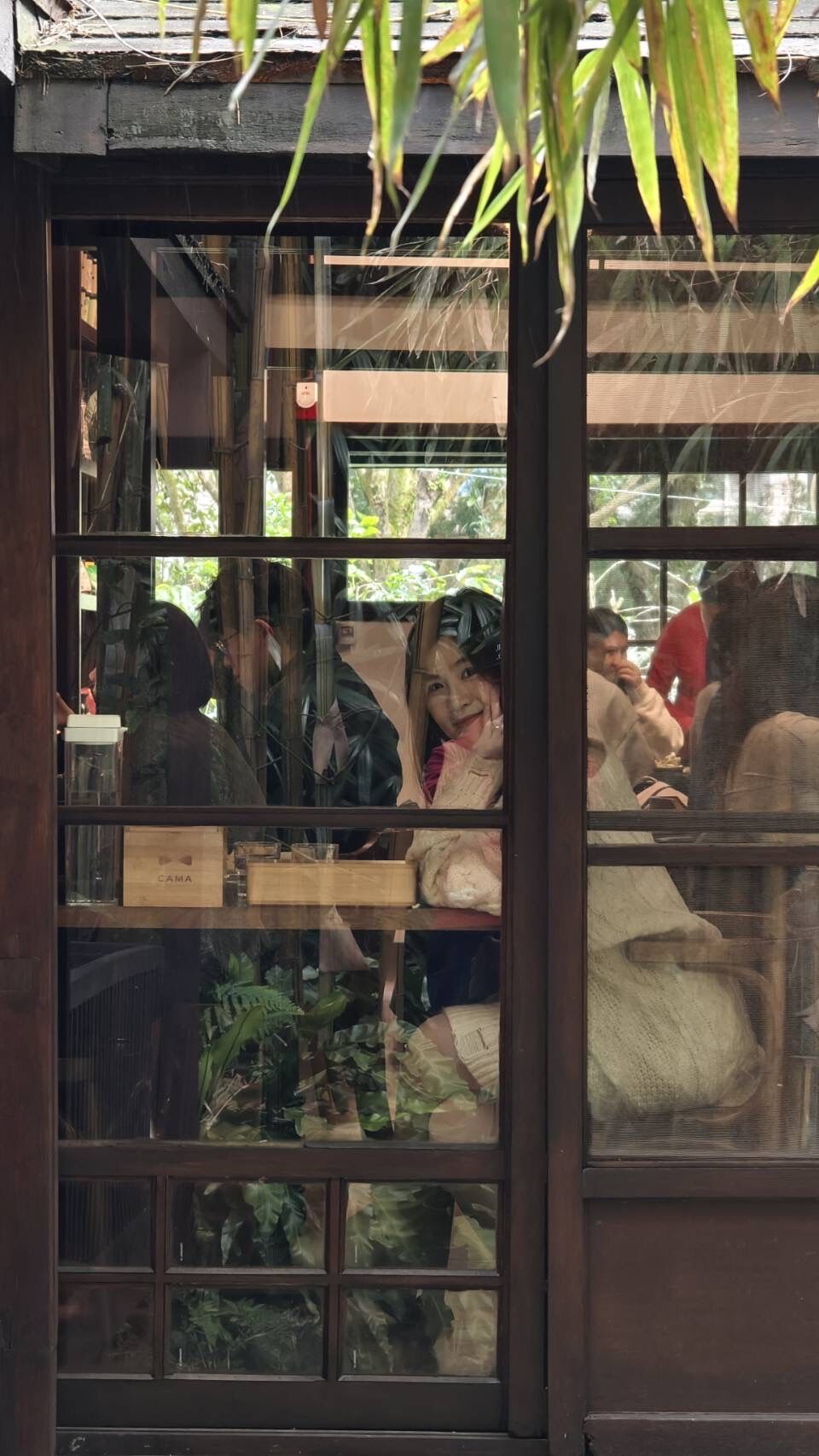 ▲豆留森林,陽明山。（圖／記者胡至欣攝）