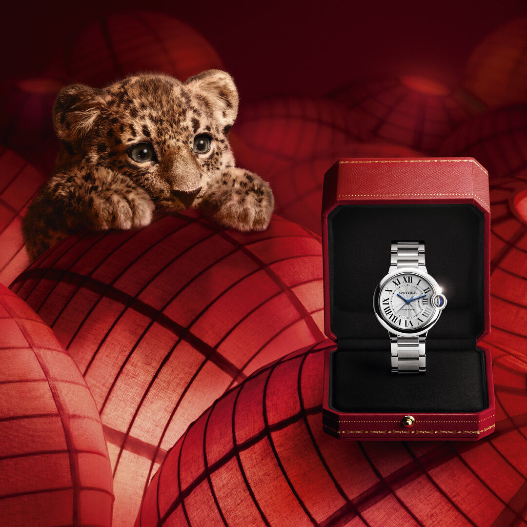 ▲▼Cartier             。（圖／公關照）