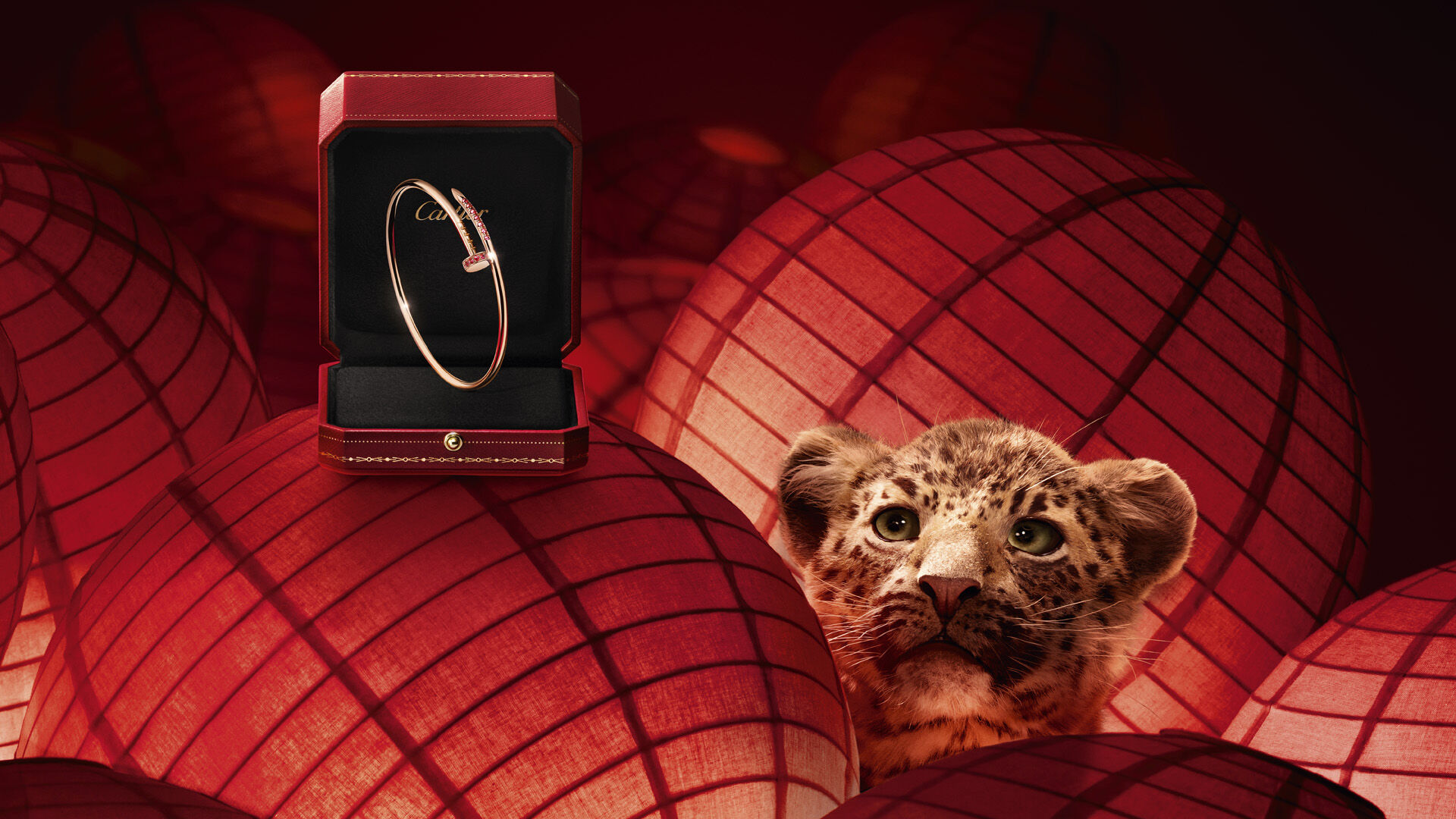 ▲▼Cartier             。（圖／公關照）