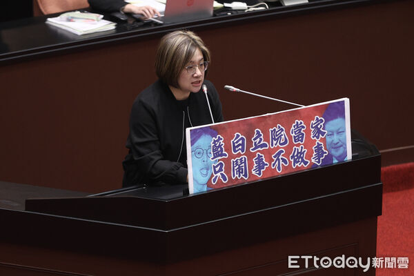 ▲立法院彈劾總統賴清德審查會，陳培瑜發言。（圖／記者林敬旻攝）