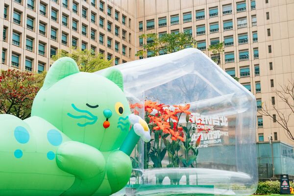 ▲「喵喵」氣偶於台北市政府東南角廣場首亮相，一旁設置透明的「春之幻境溫室」和百合紙藝，將展至3月1日。（圖／公園處提供）