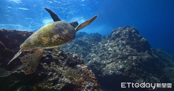 ▲▼廣受好評的「探索綠島」互動實境體驗服務近日全面升級，系統全面優化。（圖／東管處提供，下同）