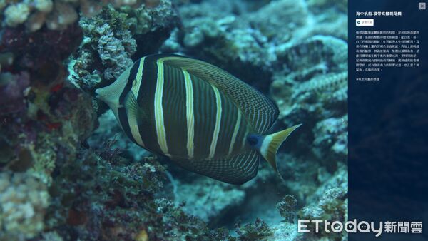 ▲▼廣受好評的「探索綠島」互動實境體驗服務近日全面升級，系統全面優化。（圖／東管處提供，下同）