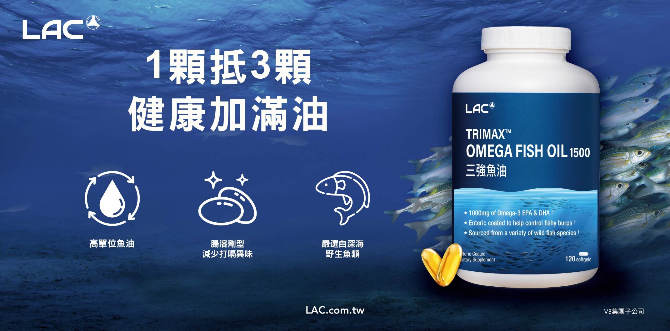 年節忙碌更要補！全球75%人Omega-3未達標 營養到位成健康關鍵（圖／品牌提供）